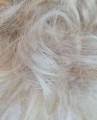 Gęsty_kok_na_gumce_z_naturalnych_włosów_gołębi_blond_6.jpg