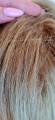 Tupet_damski_clip_in_z_naturalnych_włosów_monobaza_Werona_10.jpg