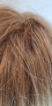 Tupet_monobaza_clip_in_z_naturalnych_włosów_monobaza_Werona_16.jpg