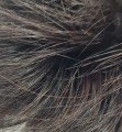 Kok_na_gumce_z_naturalnych_włosów_z_długimi_włosami_bardzo_ciemny_brąz_3.jpg