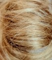 Kok_na_spince_ciemny_blond_5.jpg