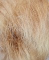 Kok_z_naturalnych_włosów_messy_bun_ciemny_blond_4.jpg