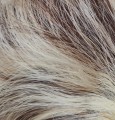 Kok_na_spince_brąz_jasny_blond_baleyage_3.jpg
