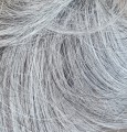 Kok_na_spince_popielaty_blond_5.jpg
