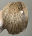 Doczepiany_kok_na_gumce_z_naturalnych_włosów_piaskowy_blond_2.jpg