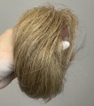 Doczepiany_kok_na_gumce_z_naturalnych_włosów_chłodny_ciemny_blond_3.jpg